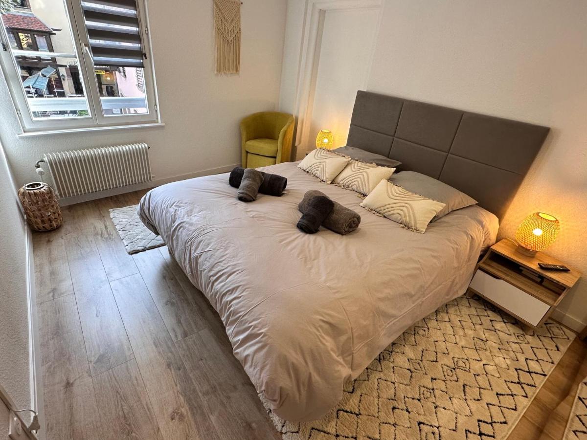 Le Bijou De Leyna Apartment Colmar Luaran gambar